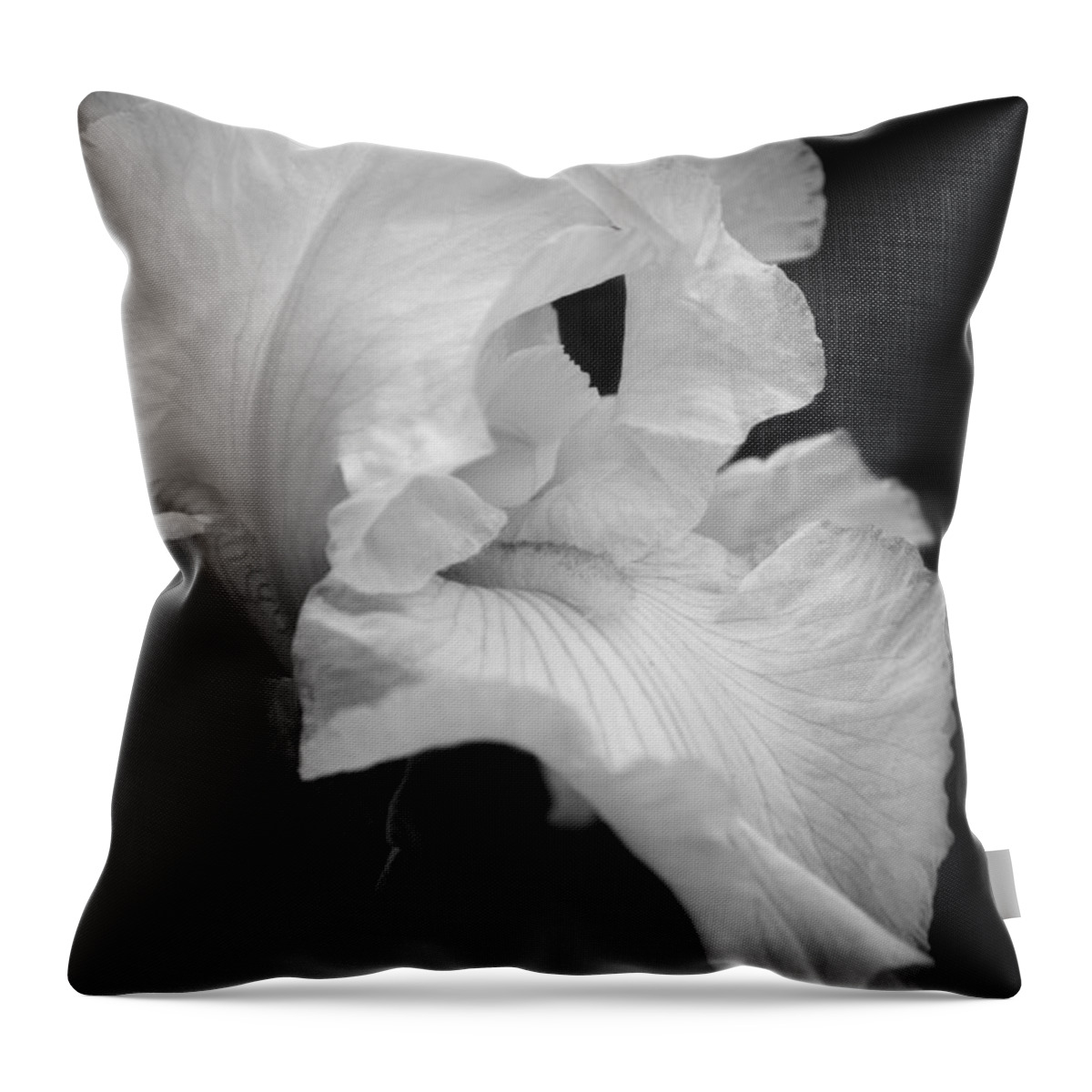 Monochrome Throw Pillow featuring the photograph White Iris by Cheryl Day