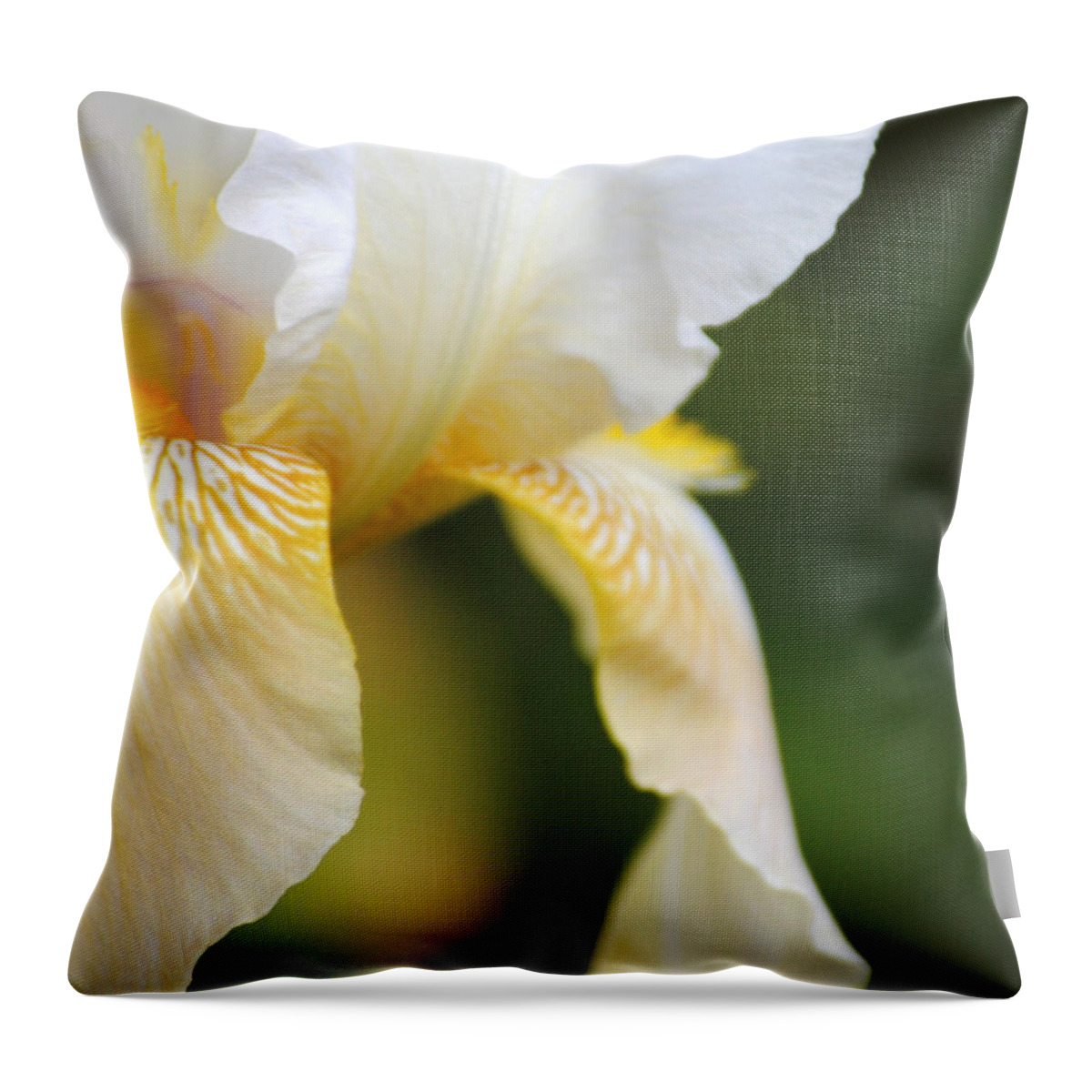 Iris Throw Pillow featuring the photograph White Iris I by Jai Johnson