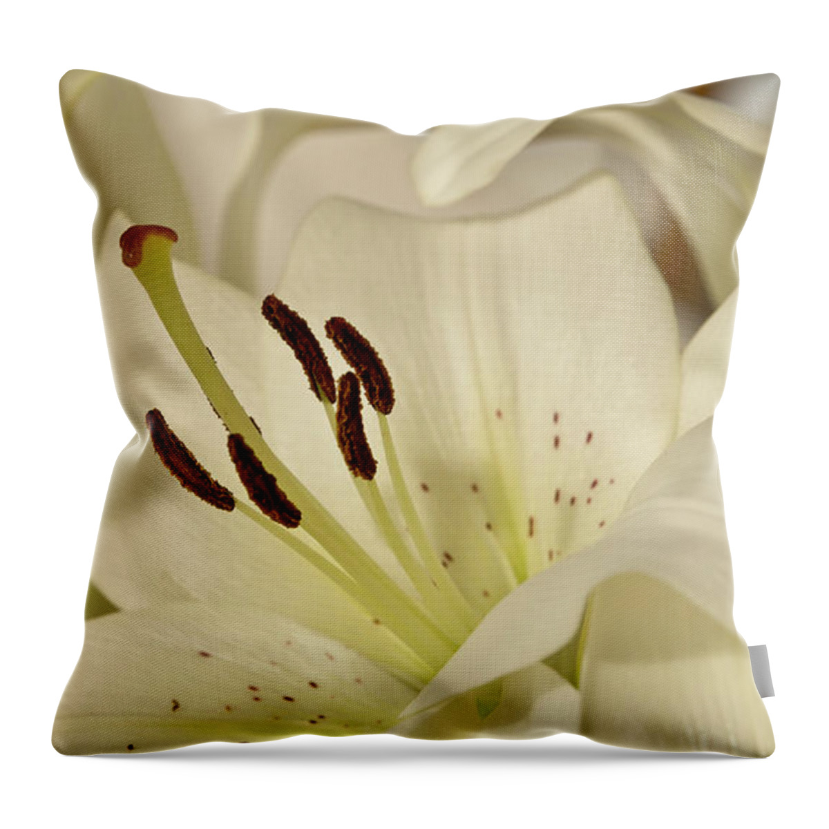 Lily Throw Pillow featuring the photograph White Lily 3 by Elena Perelman