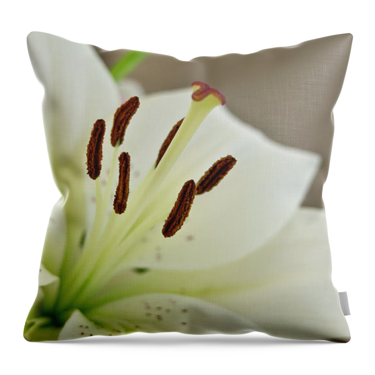 Trinity Throw Pillow featuring the photograph White Lily 4 by Elena Perelman
