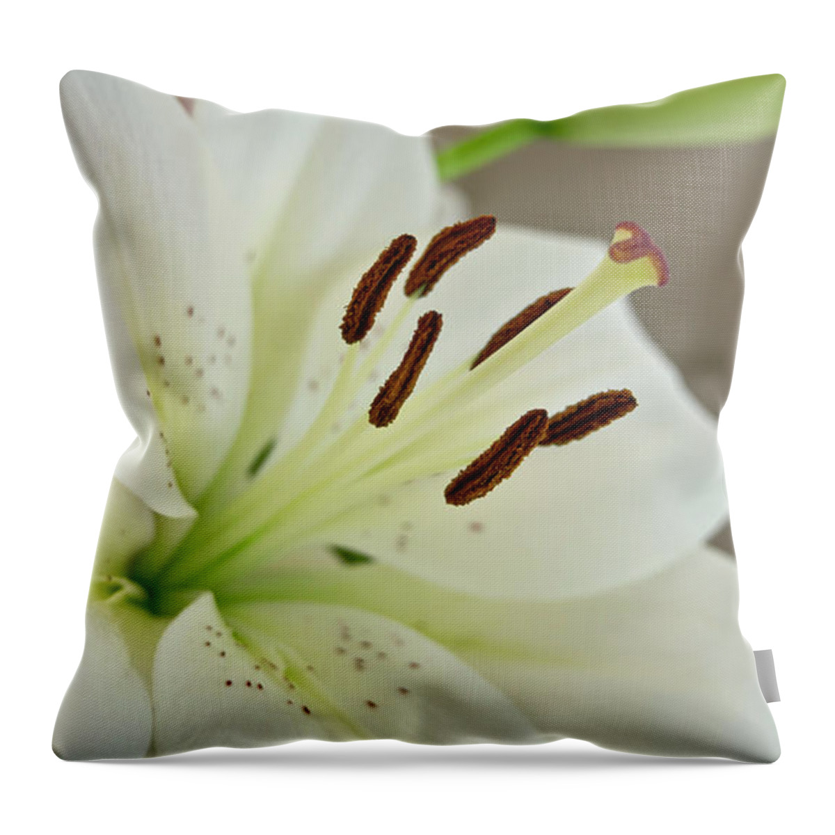 Humility Throw Pillow featuring the photograph White Lily 5 by Elena Perelman