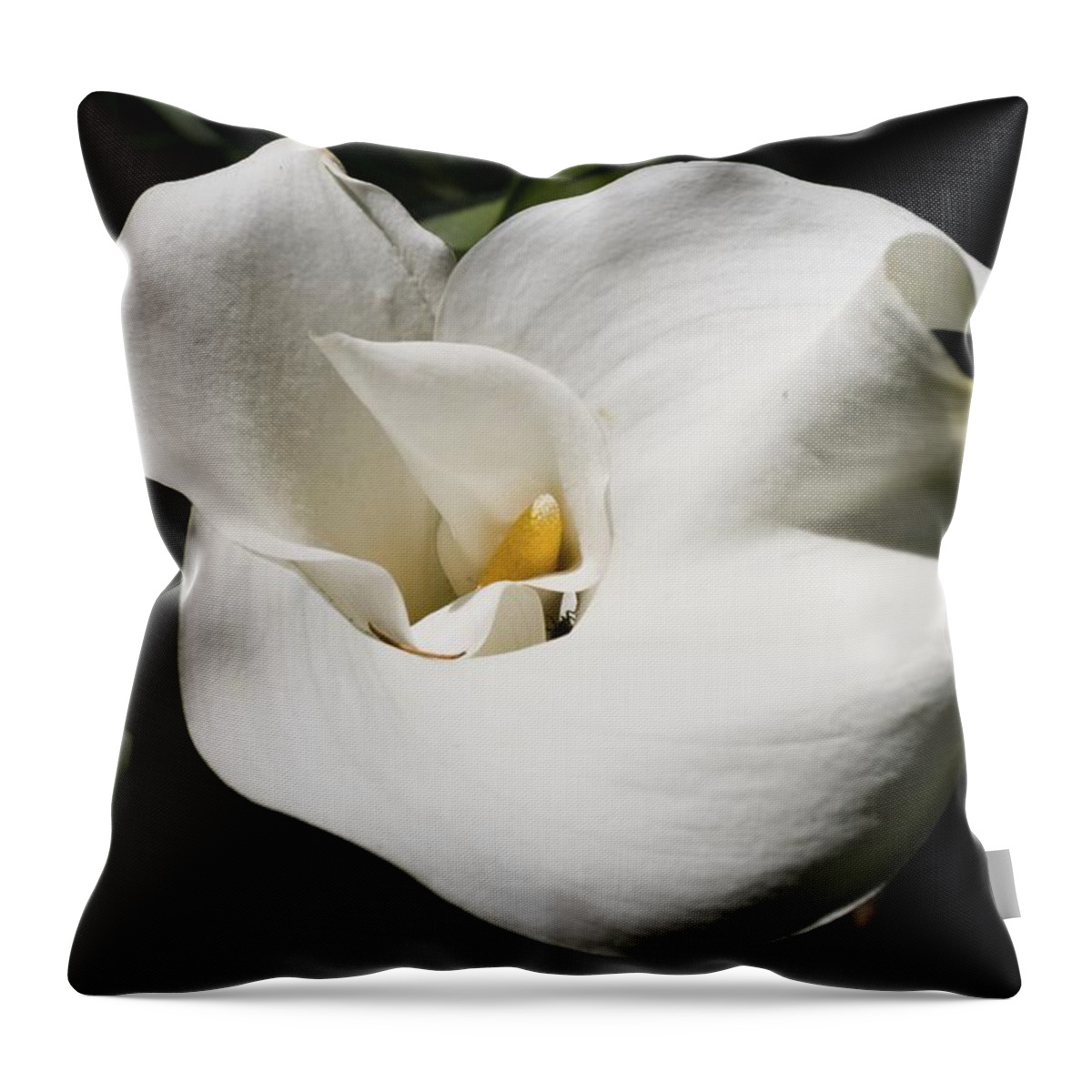 Granger Photography Throw Pillow featuring the photograph White Lily by Brad Granger