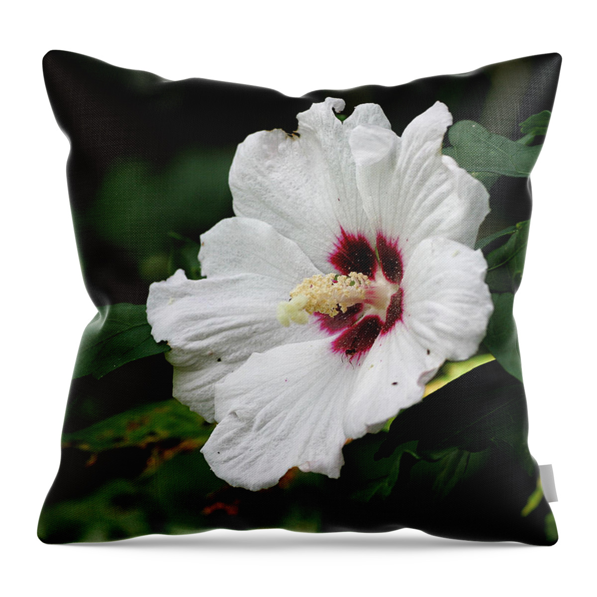 Flower Throw Pillow featuring the photograph White Hibiscus by William Selander