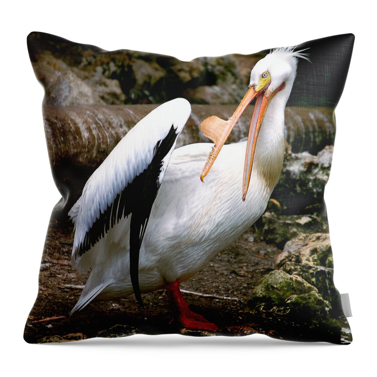 Pelican Throw Pillow featuring the photograph White Pelican by Donna Proctor
