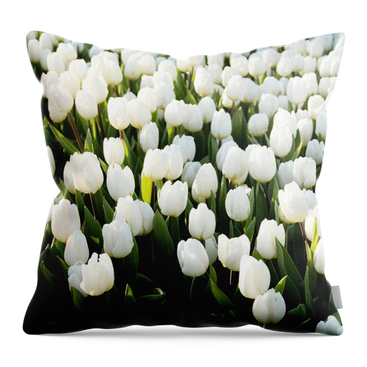 Tulips Throw Pillow featuring the photograph White Tulips In the Garden by Linda Woods