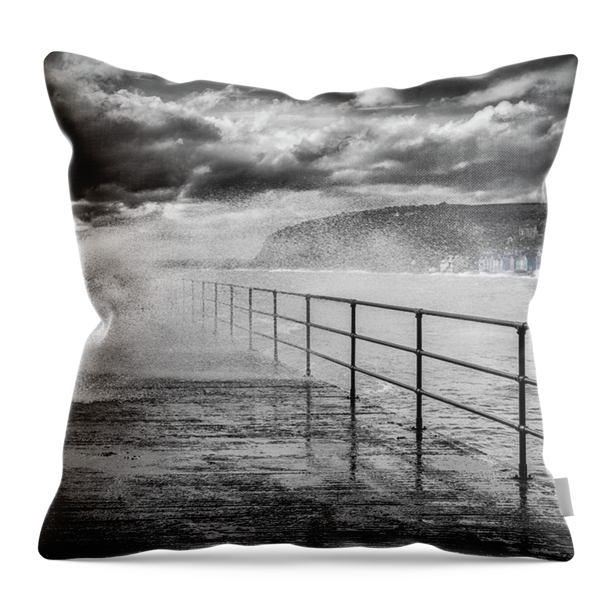 Whitehead Throw Pillow featuring the photograph Whitehead with a splash of colour by Nigel R Bell