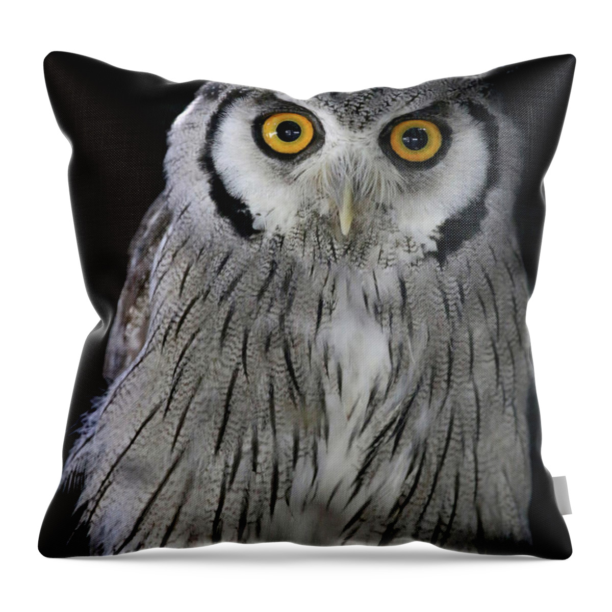 Owl Throw Pillow featuring the photograph Who 'Dat? by Steve Parr