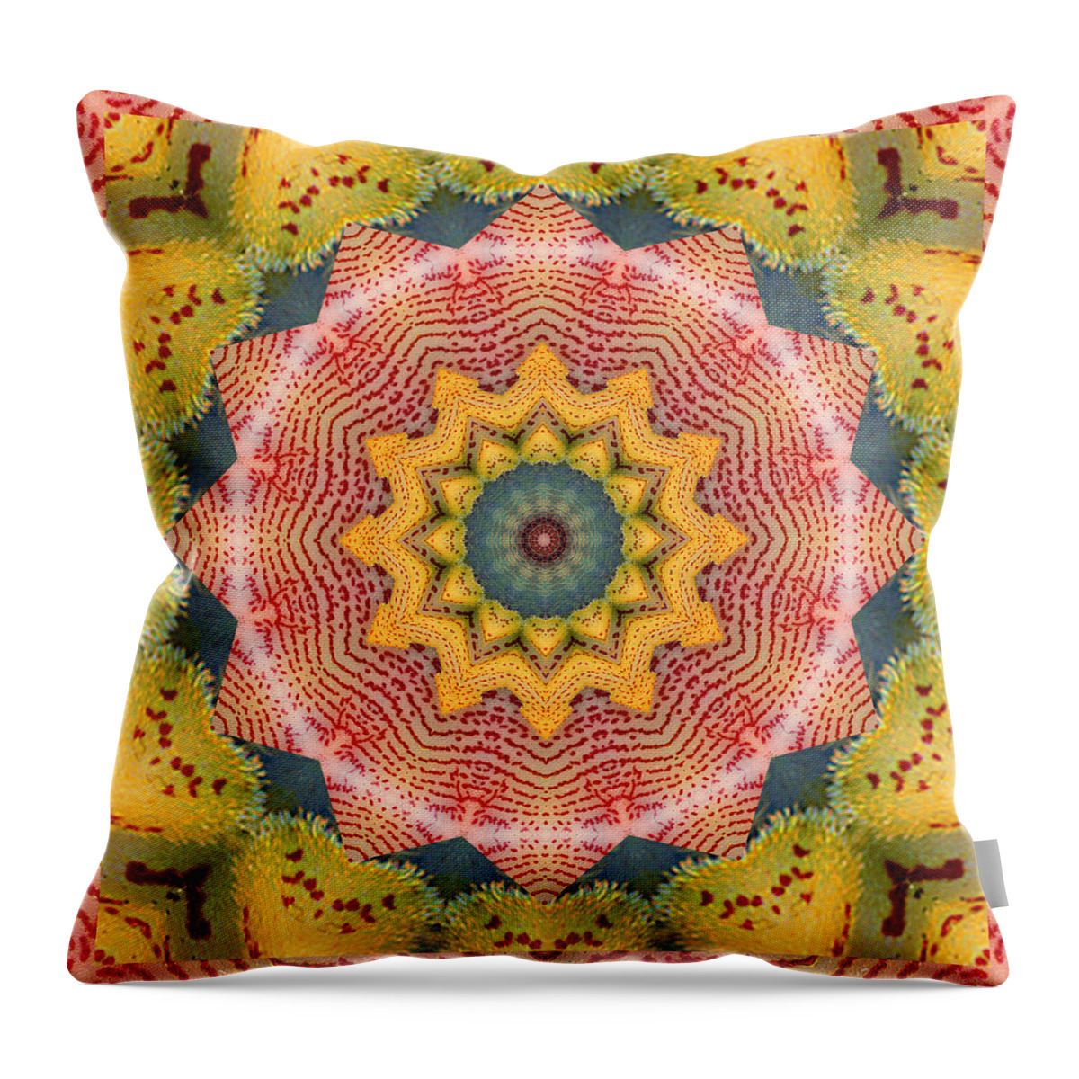 Mandalas Throw Pillow featuring the photograph Wholeness by Bell And Todd