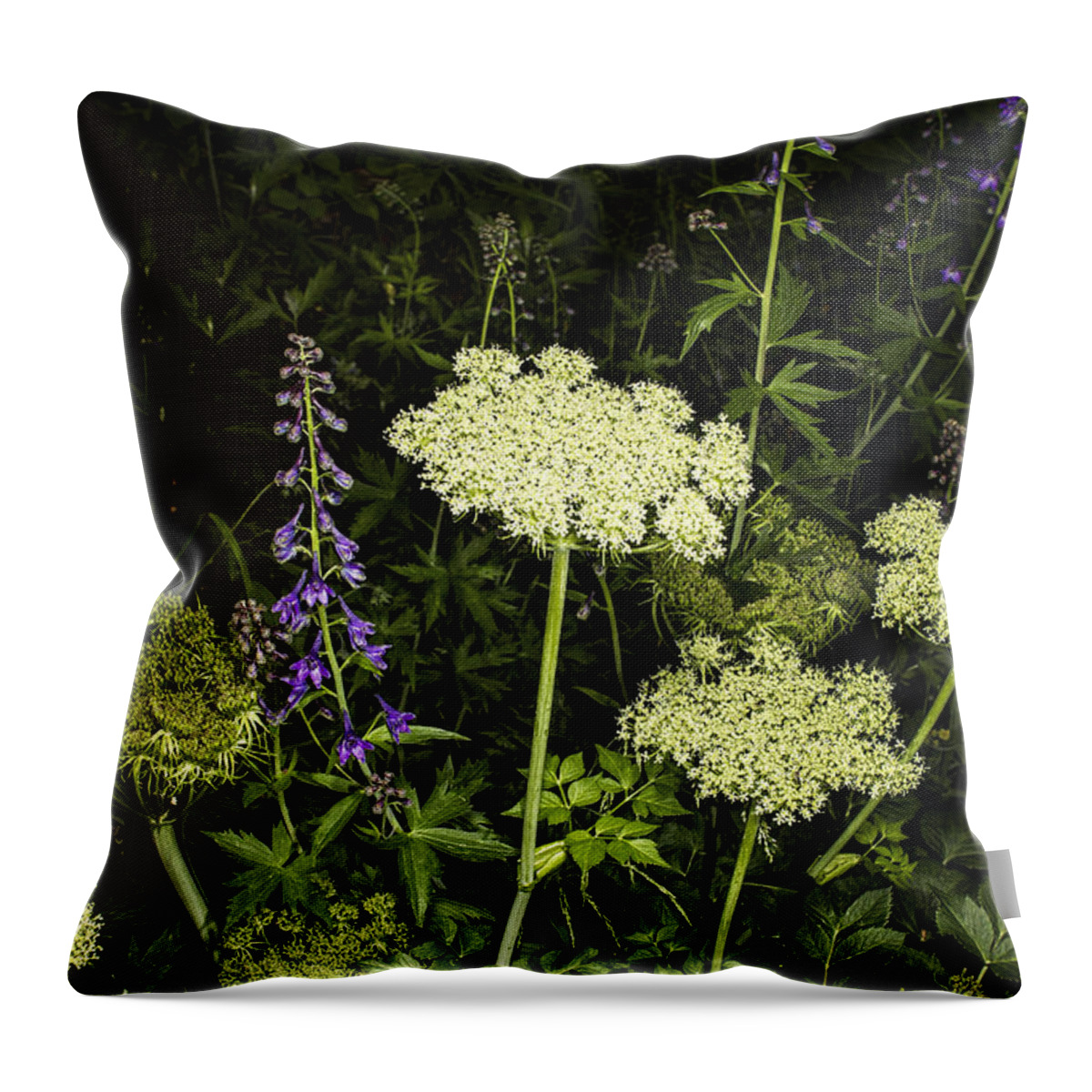 Wildflower Throw Pillow featuring the photograph Wild Celery and Larkspur by Fred Denner