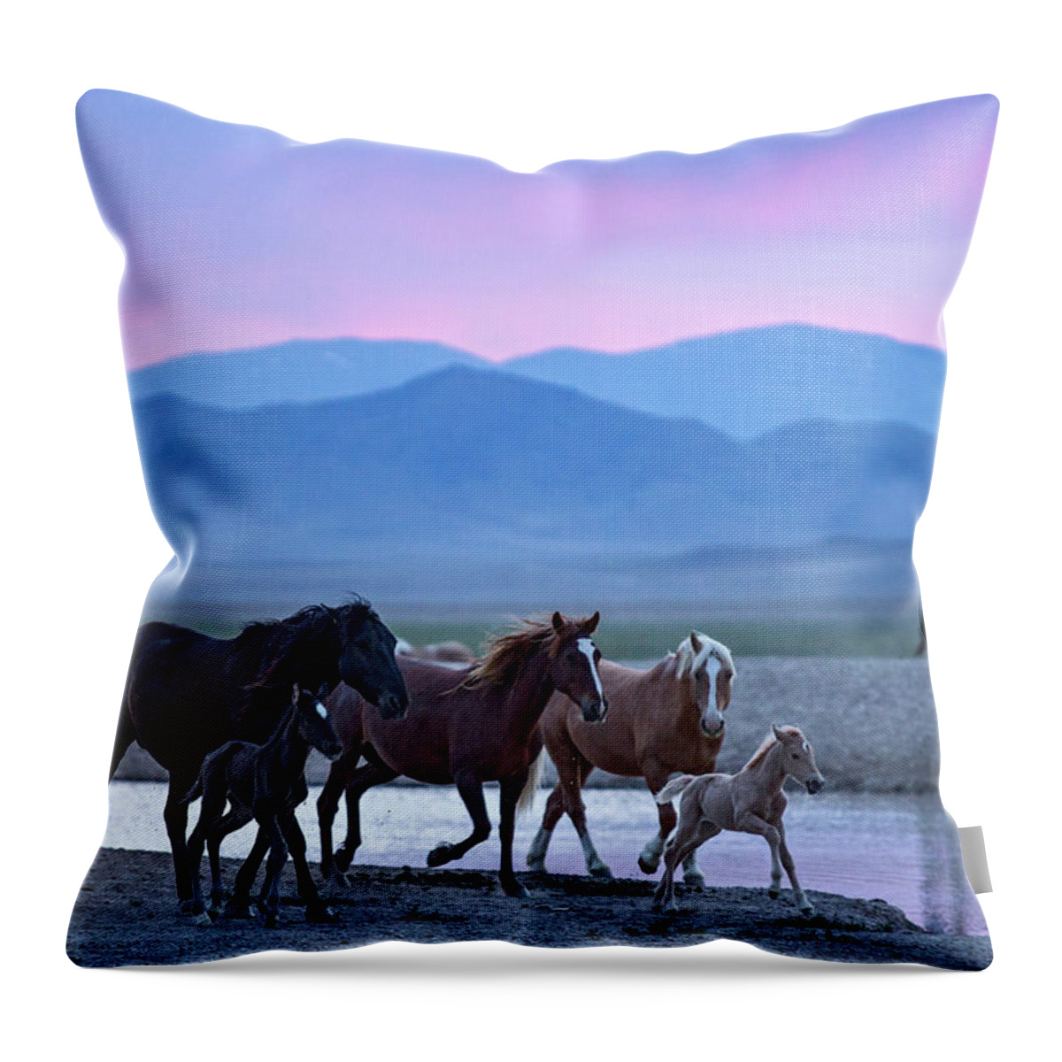 Wild Horse Throw Pillow featuring the photograph Wild Horse Sunrise by Wesley Aston