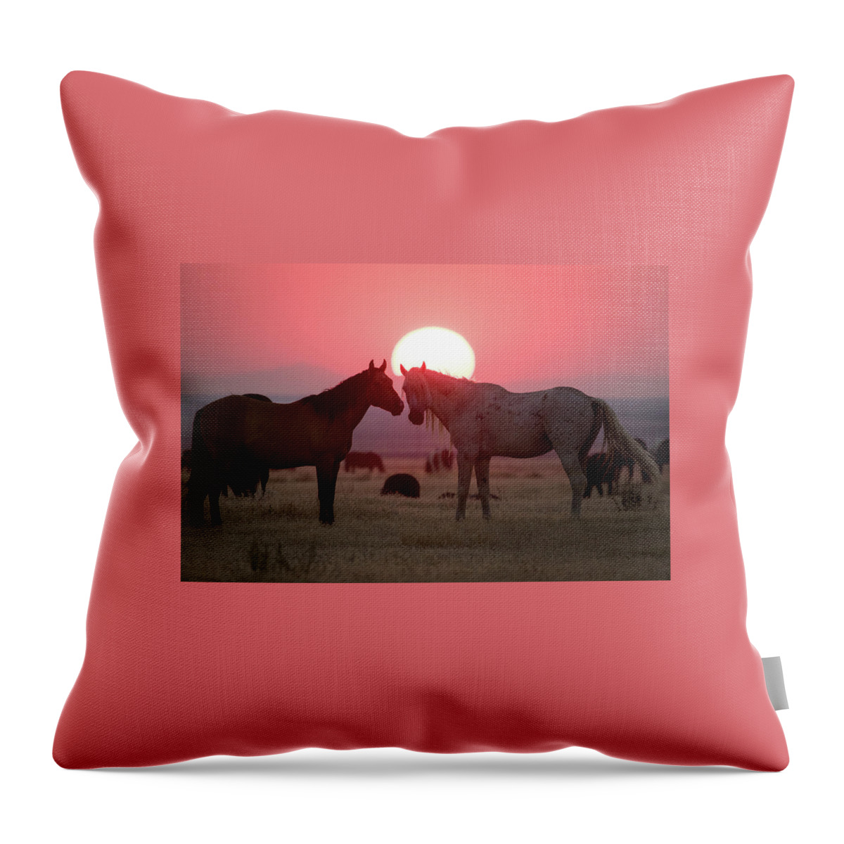 Wild Horse Throw Pillow featuring the photograph Wild Horse Sunset by Wesley Aston