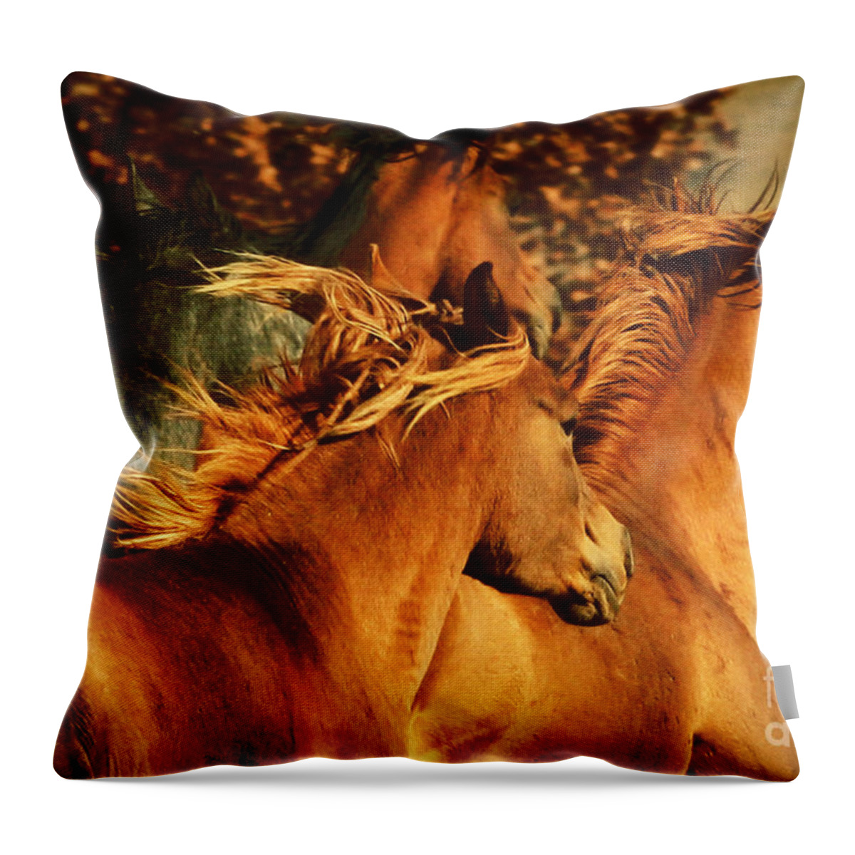 Horse Throw Pillow featuring the photograph Wild Horses by Dimitar Hristov