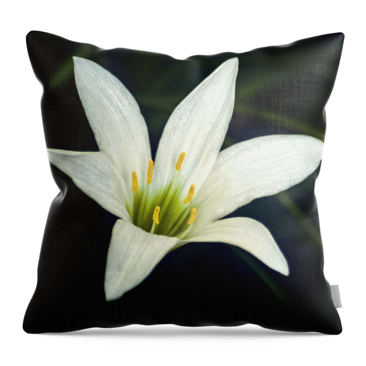 Lily Throw Pillow featuring the photograph Wild Lily by Carolyn Marshall