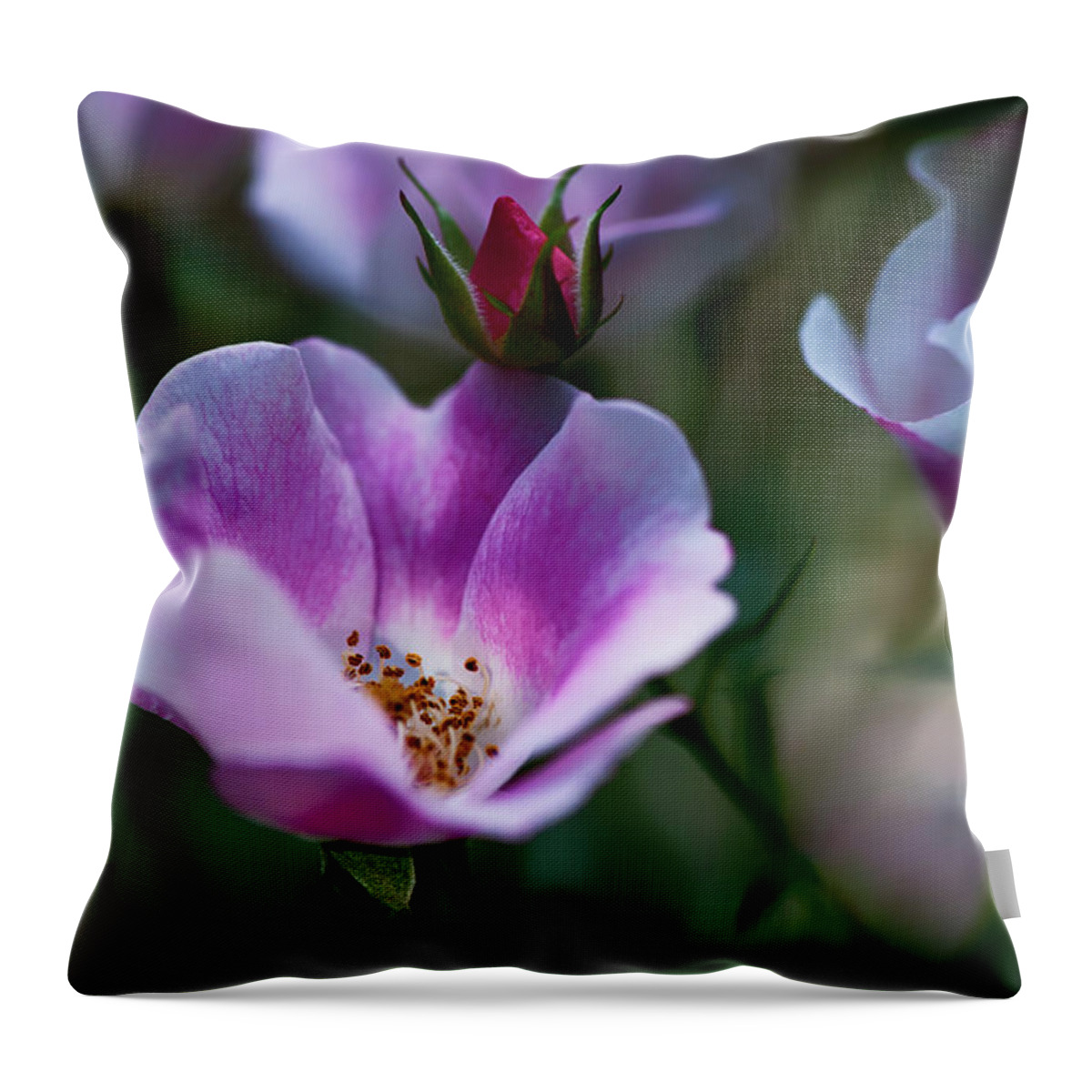  Throw Pillow featuring the photograph Wild Rose 7 by Dan Hefle