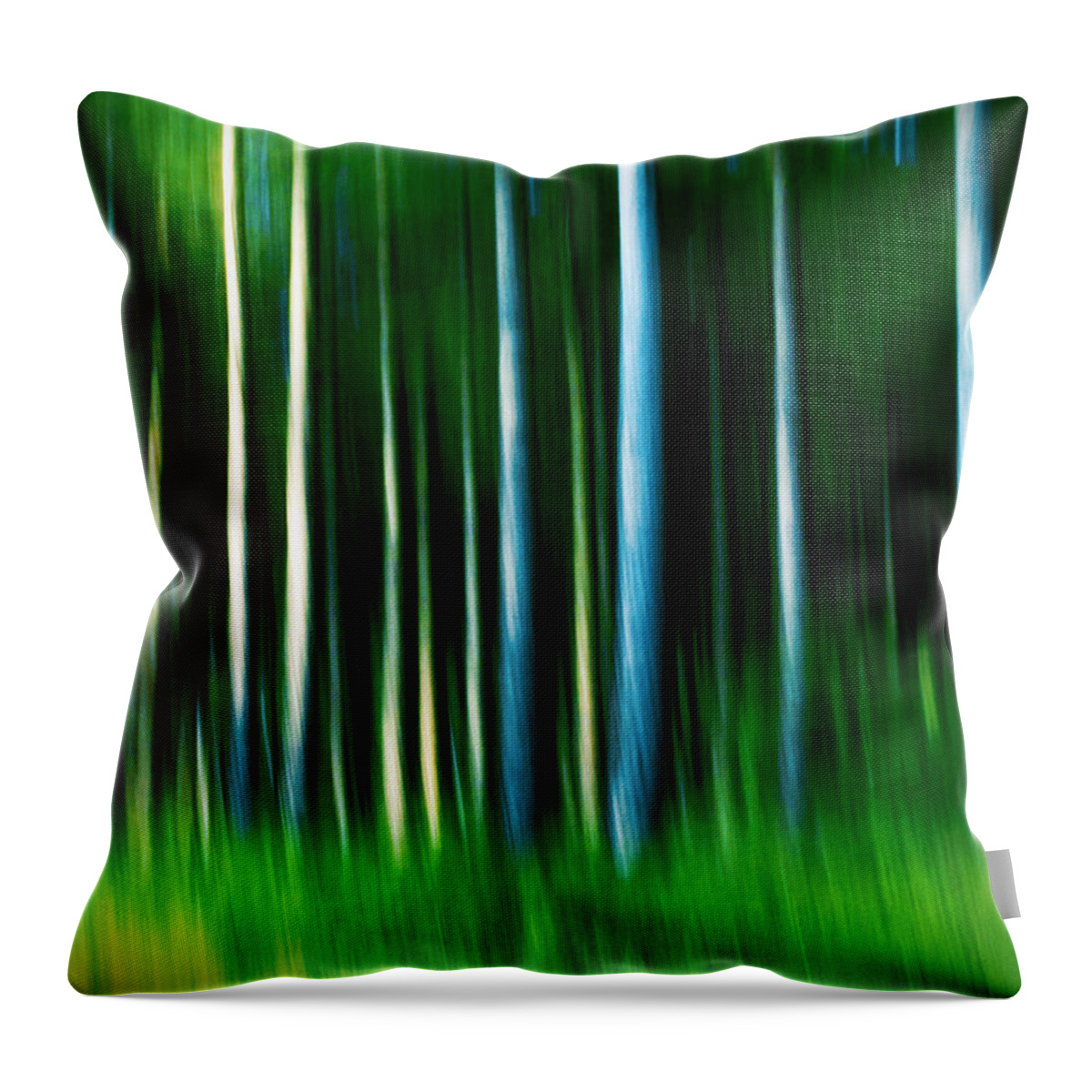 Abstract Throw Pillow featuring the photograph Wild Stripes by Dorit Fuhg