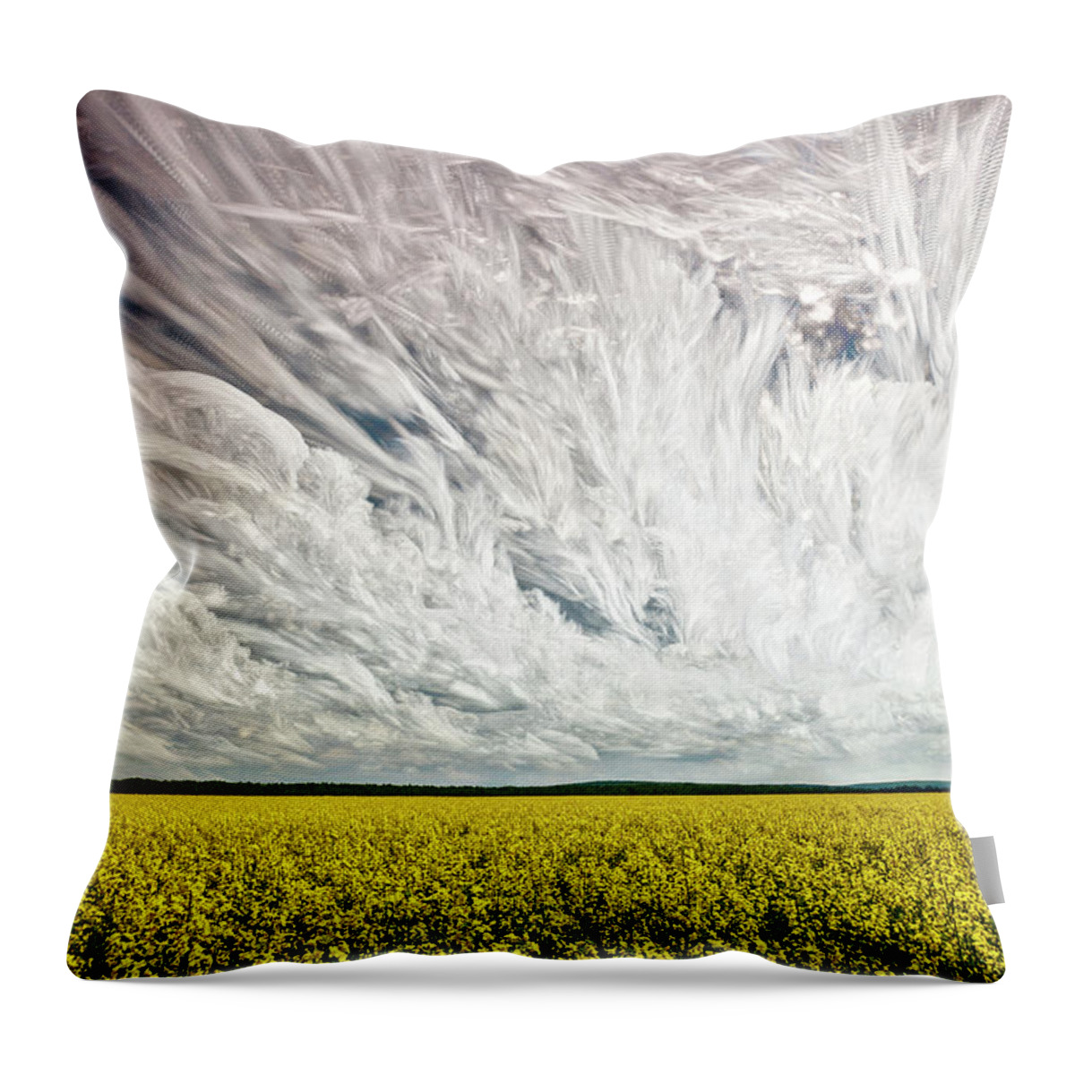 Matt Molloy Throw Pillow featuring the photograph Wild Winds by Matt Molloy