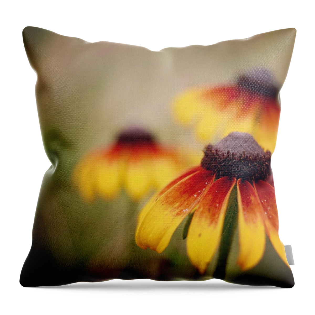 Wildflowers Throw Pillow featuring the photograph Wildfire Wildflowers by Holly Ross