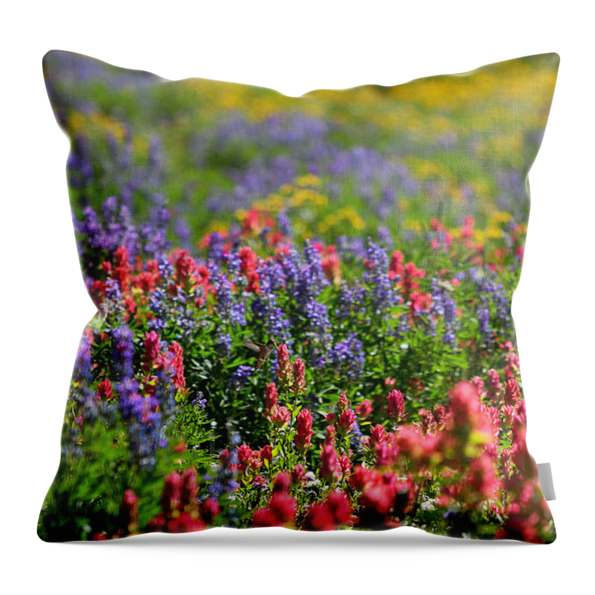 Wildflower Throw Pillow featuring the photograph Wildflower Meadow and Hummingbird by Brett Pelletier