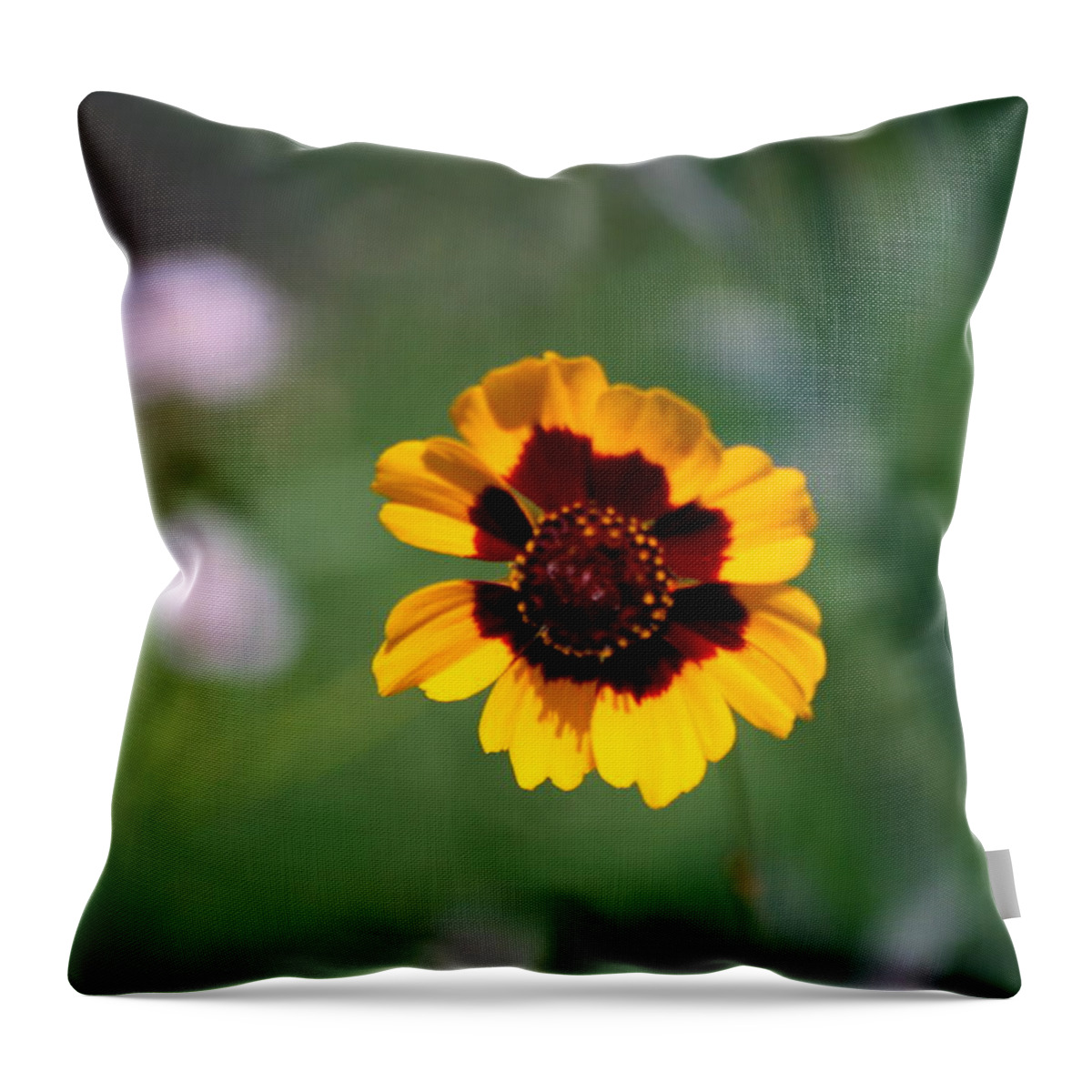 Wildflower Throw Pillow featuring the photograph Wildflower by Phil Burton
