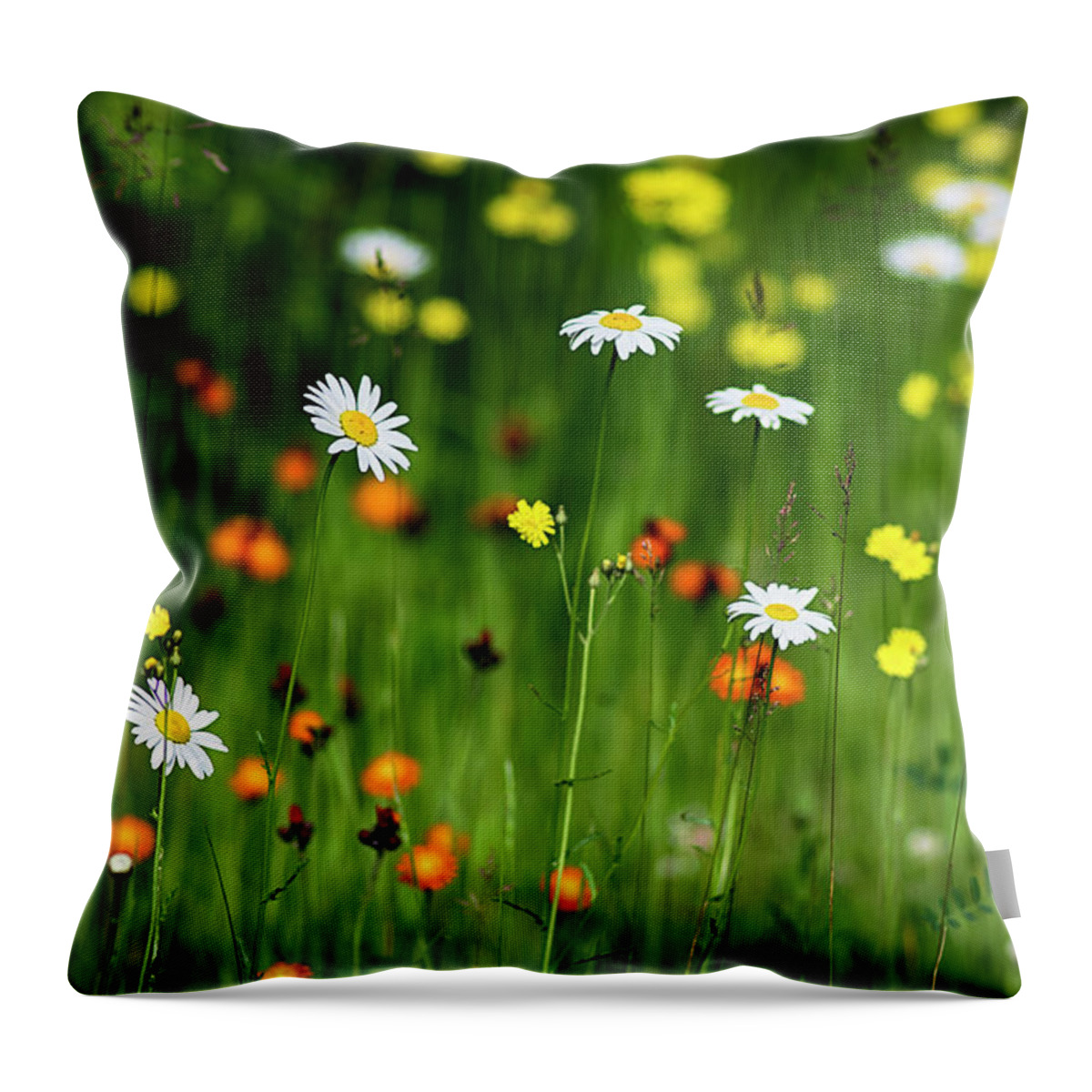  Throw Pillow featuring the photograph Wildflowers2 by Dan Hefle