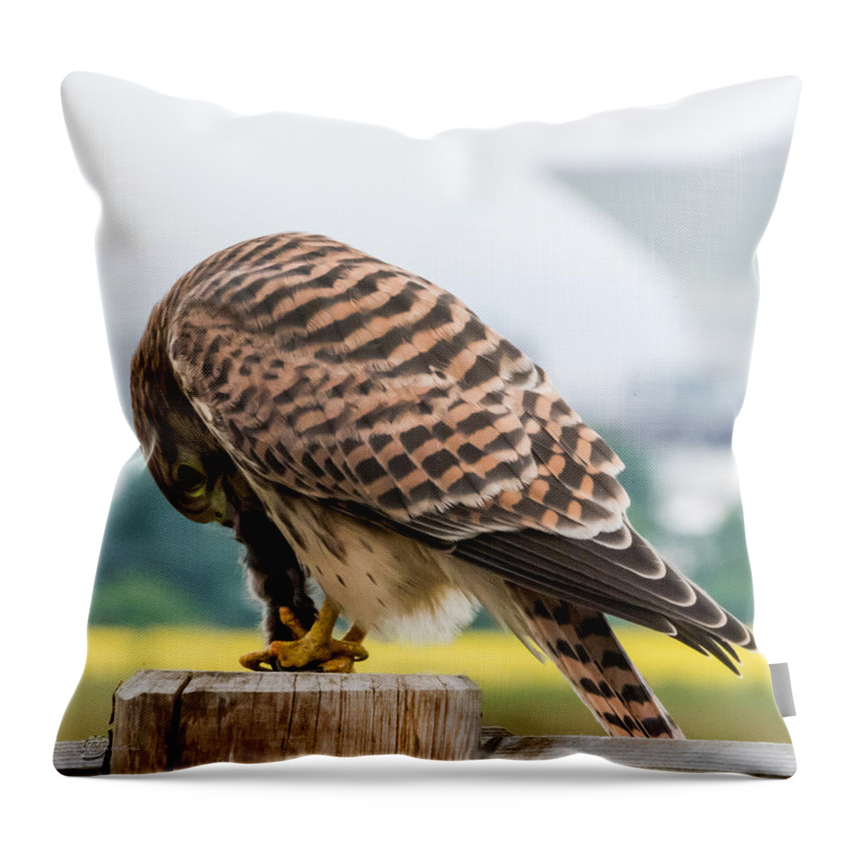 Wildlife In The City Throw Pillow featuring the photograph Wildlife in the City by Torbjorn Swenelius