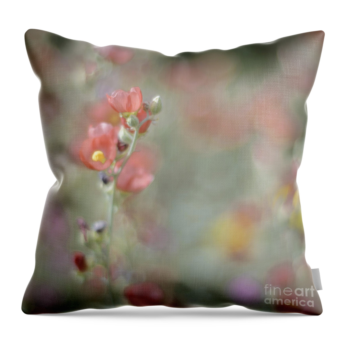 Wildflowers Throw Pillow featuring the photograph Globemallow Impressionism by Tamara Becker