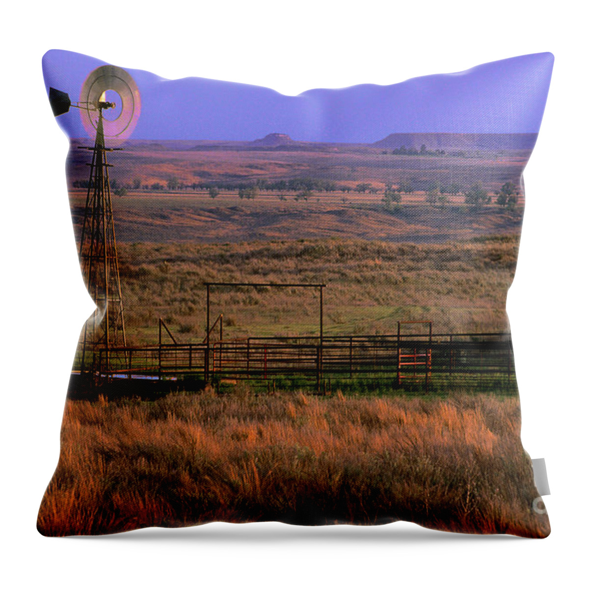Dave Welling Throw Pillow featuring the photograph Windmill Cattle Fencing Texas Panhandle by Dave Welling