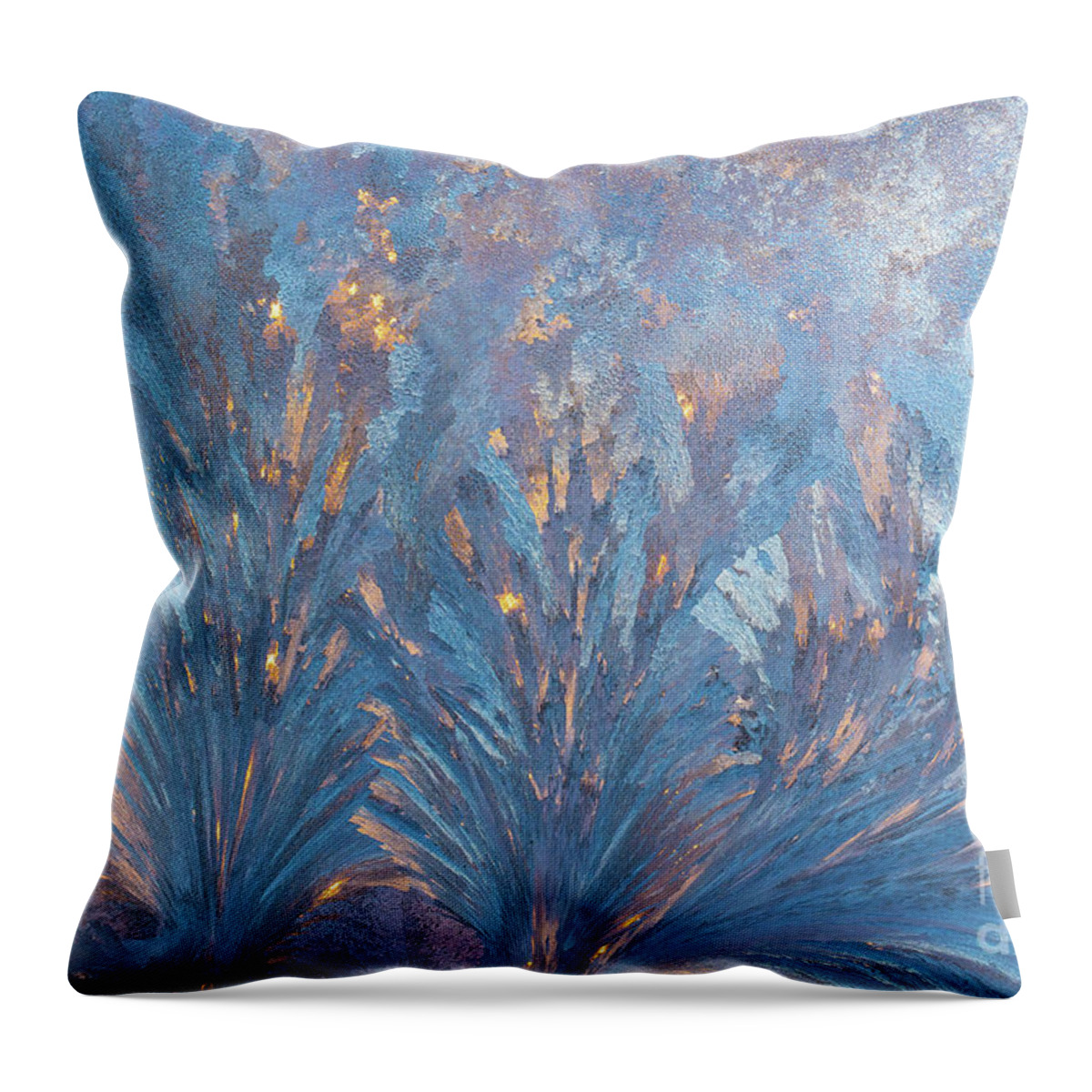 Cheryl Baxter Photography Throw Pillow featuring the photograph Window Frost At Sunset by Cheryl Baxter