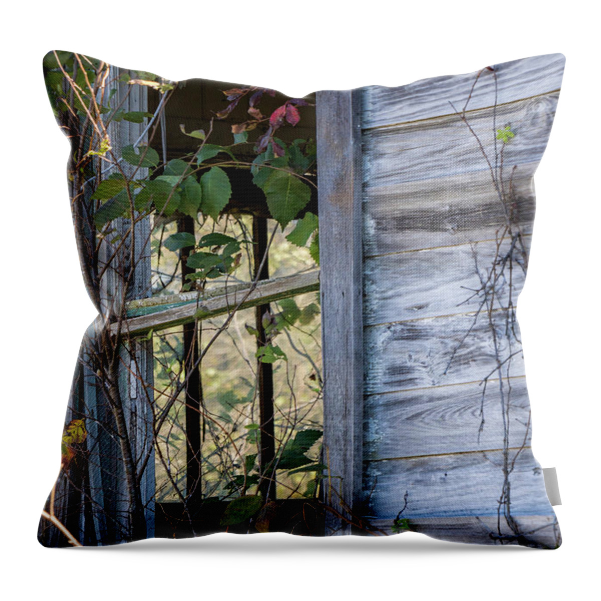 Abandoned Throw Pillow featuring the photograph Windows to the Past by Holly Ross