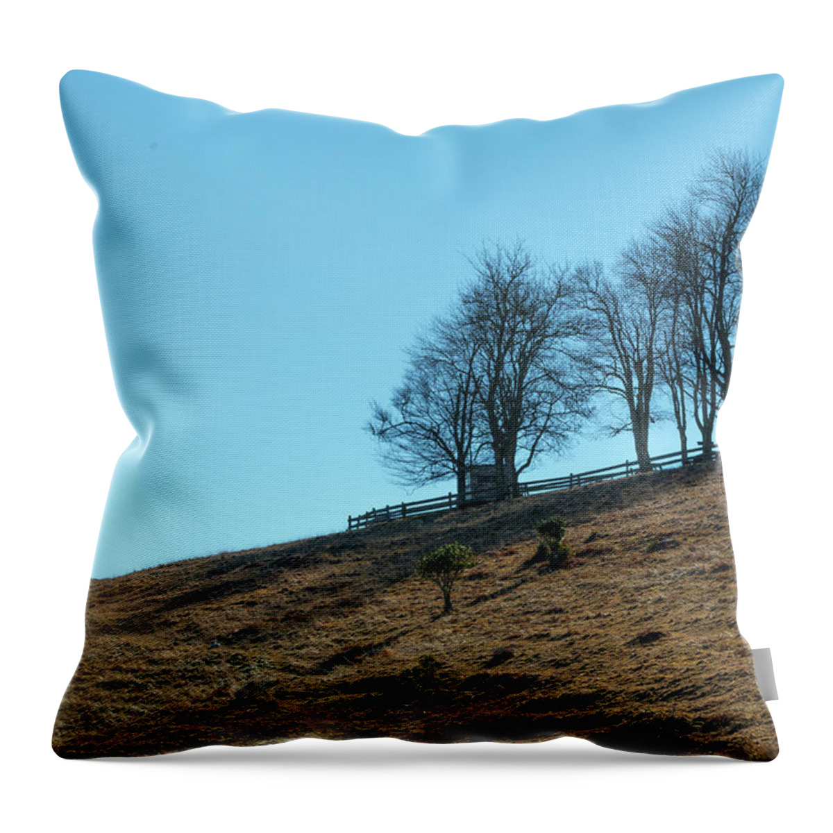 Windswept Throw Pillow featuring the photograph Windswept Trees - December 7 2016 by D K Wall