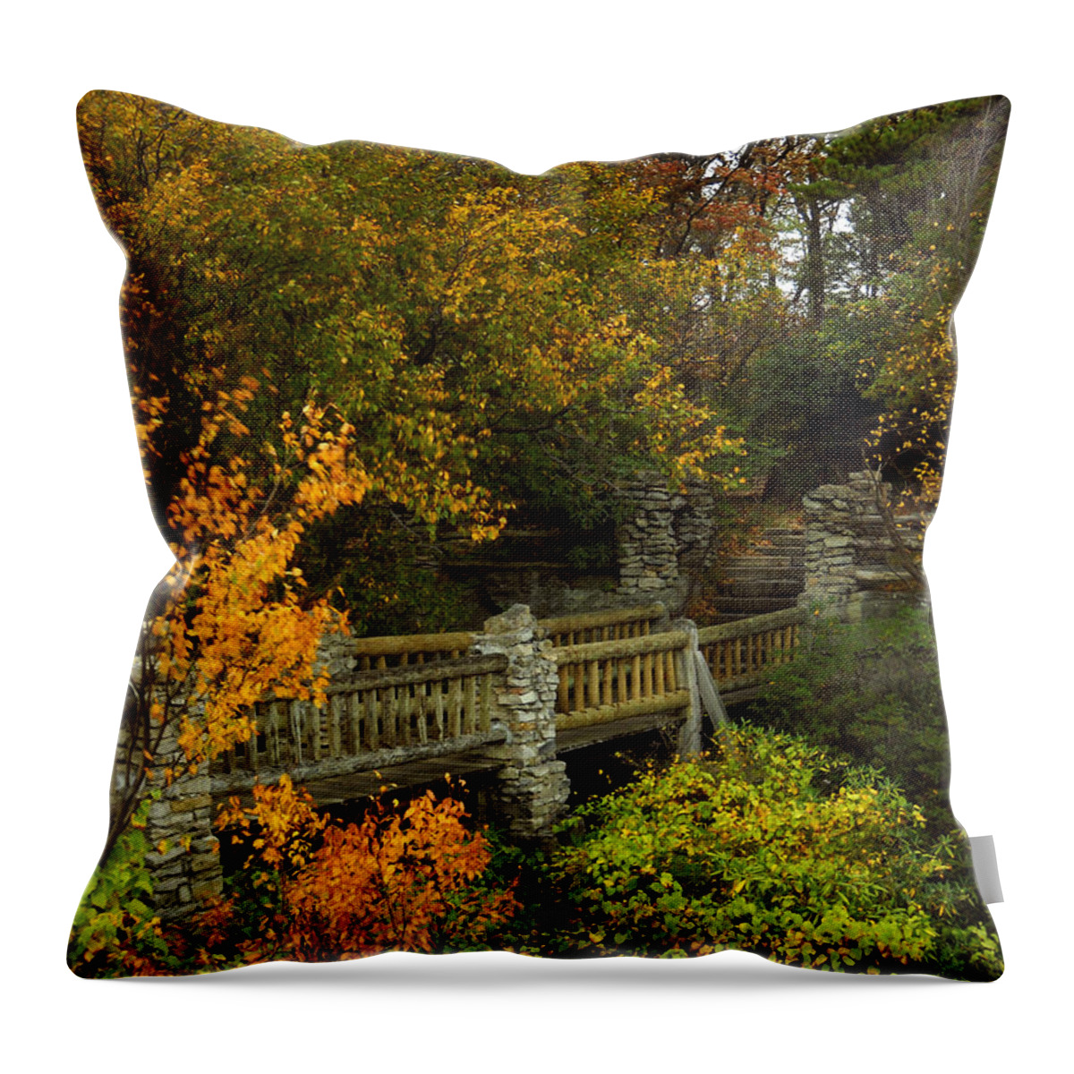Appalachia Throw Pillow featuring the photograph Windy Day at Cooper's Rock by Amanda Jones