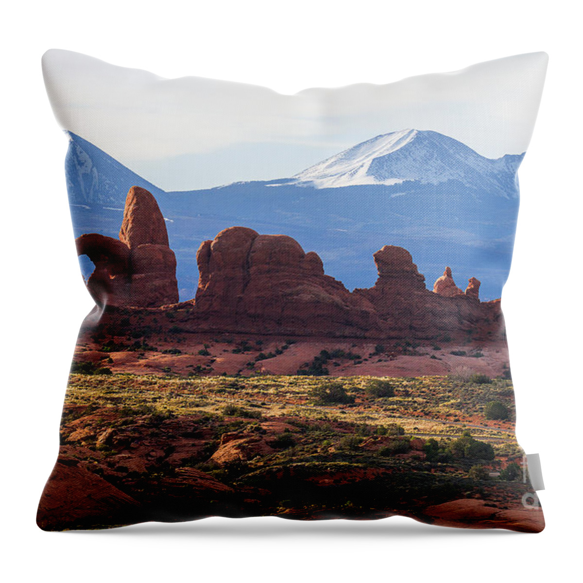 Utah Throw Pillow featuring the photograph Wing Window by Jim Garrison
