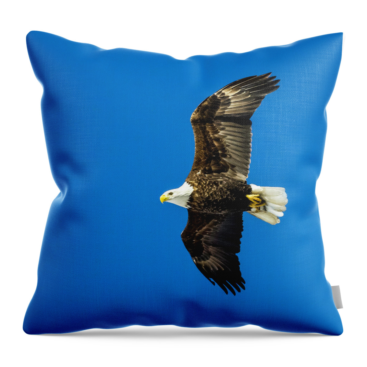 Eagle Throw Pillow featuring the photograph Winging Home for Dinner by John Roach