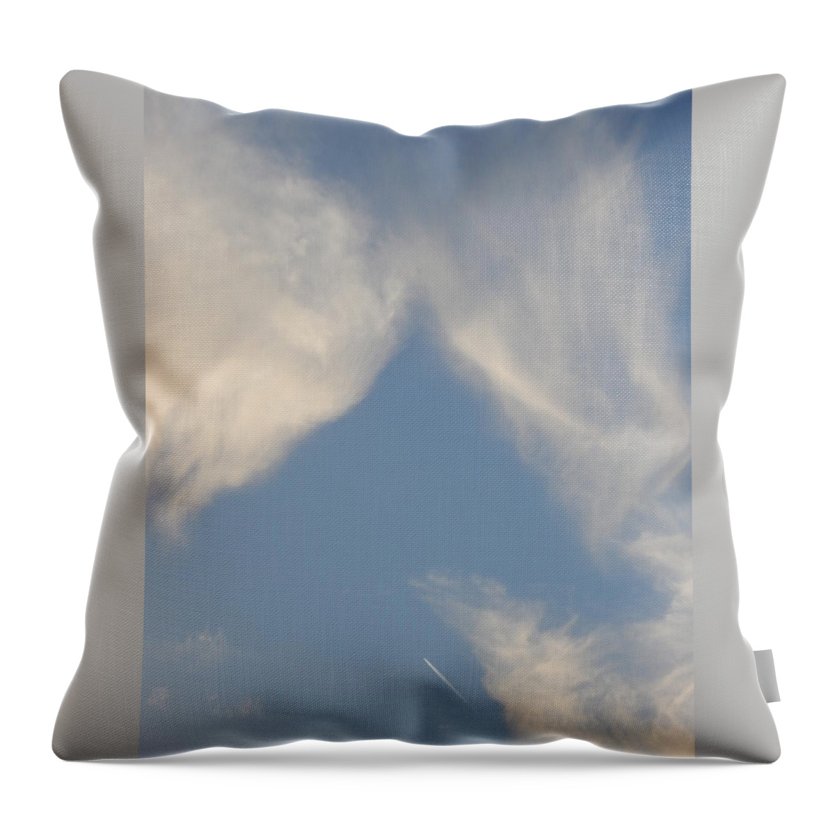 Nature Throw Pillow featuring the photograph Wings by Gallery Of Hope 