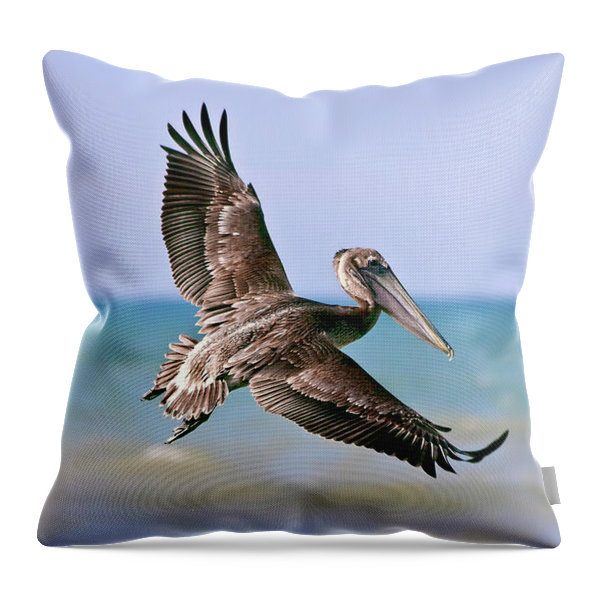 Wing Throw Pillow featuring the photograph Wingspan by Evelina Kremsdorf