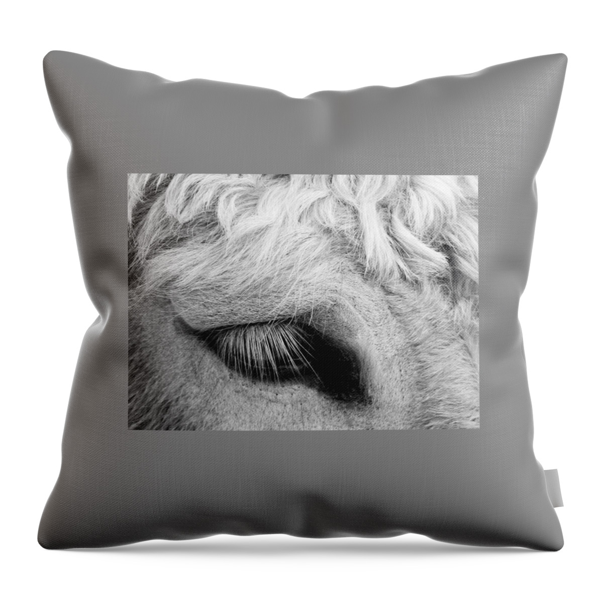 Equine Throw Pillow featuring the photograph Winking At Ya' by Jan Gelders