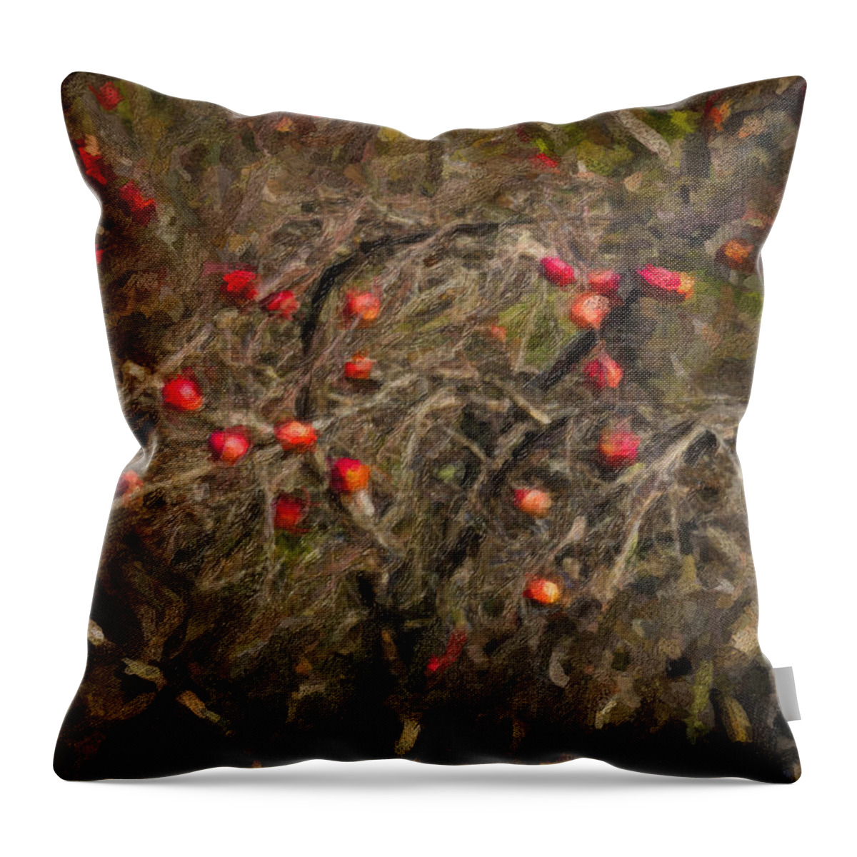 Maine Lobster Boats Throw Pillow featuring the photograph Winter Apple Abstract by Tom Singleton