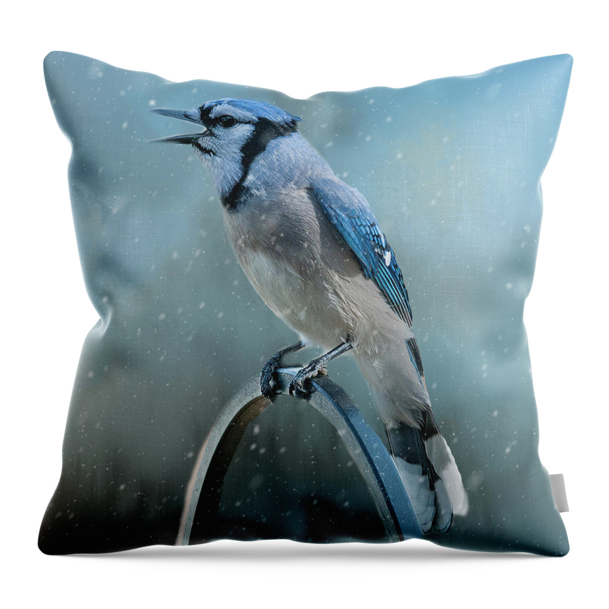 Blue Jay Throw Pillow featuring the photograph Winter Blue Jay Square by Cathy Kovarik