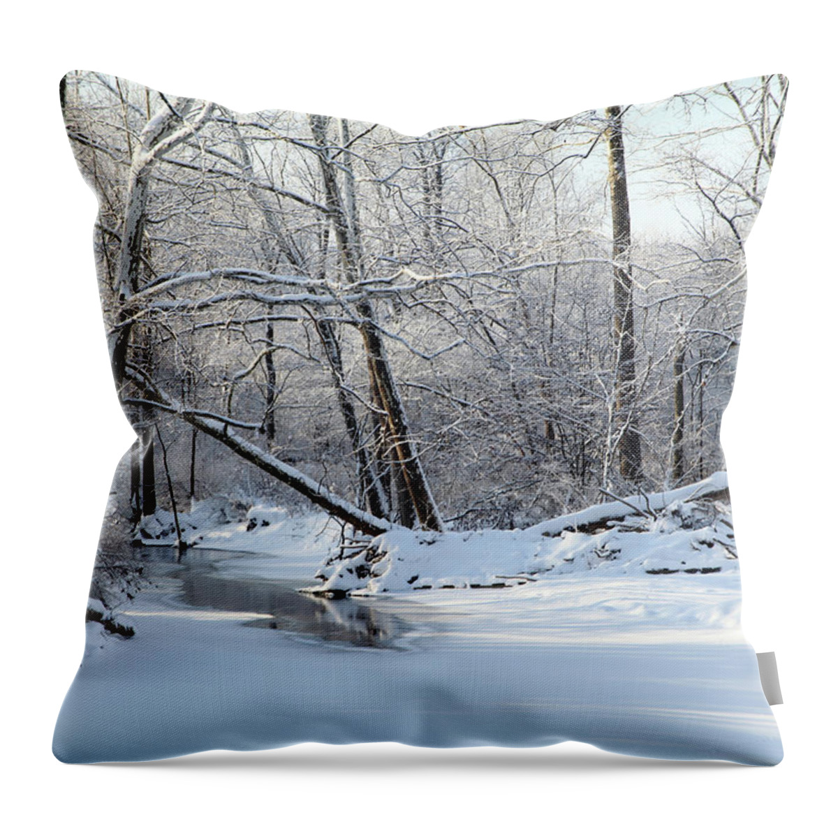 Snow Throw Pillow featuring the photograph Winter End by Robert Och