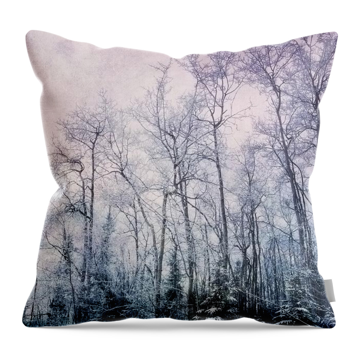 Forest Throw Pillow featuring the photograph Winter Forest by Priska Wettstein