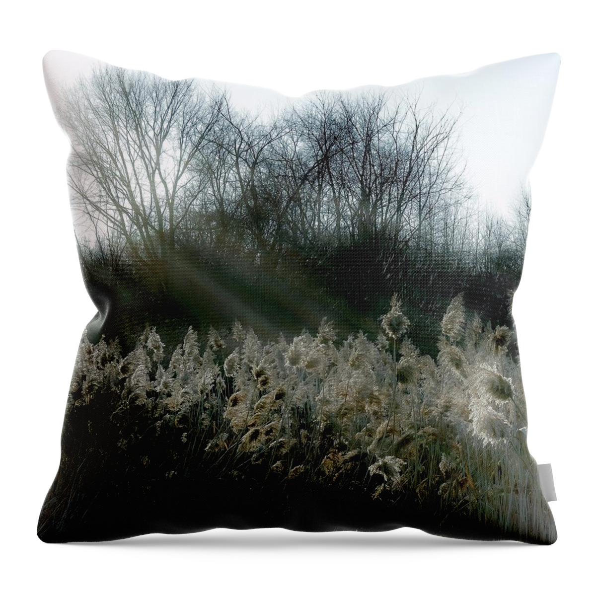  Throw Pillow featuring the photograph Winter Fringe by Kendall McKernon
