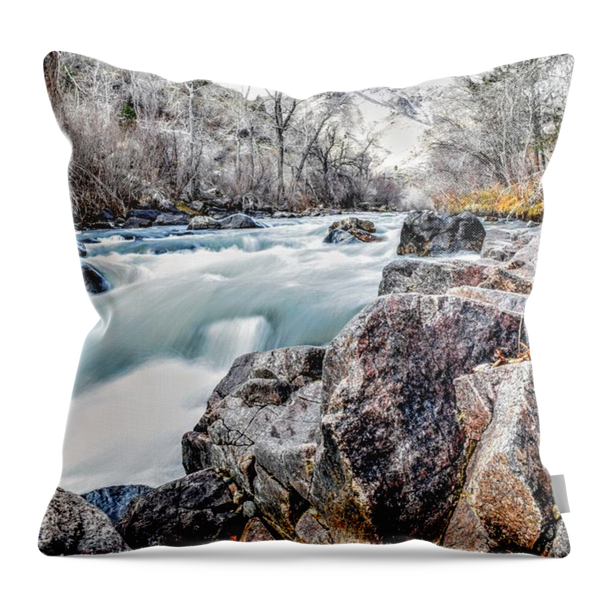 Winter Throw Pillow featuring the photograph Winter Hues by Michael Brungardt