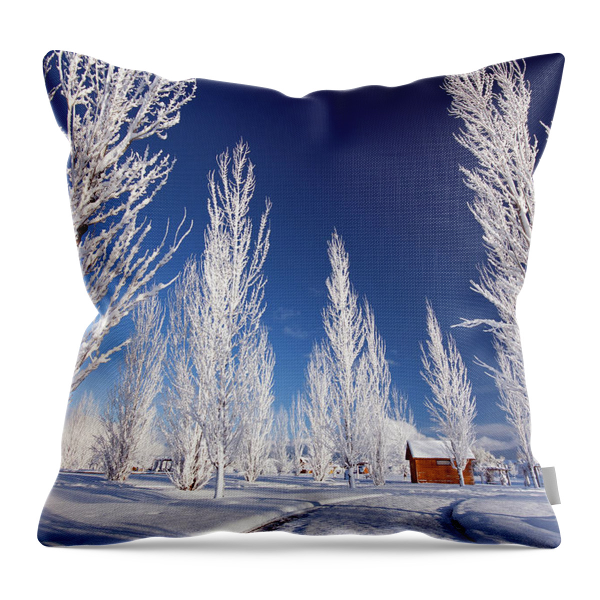 Winter Throw Pillow featuring the photograph Winter Landscape by Wesley Aston