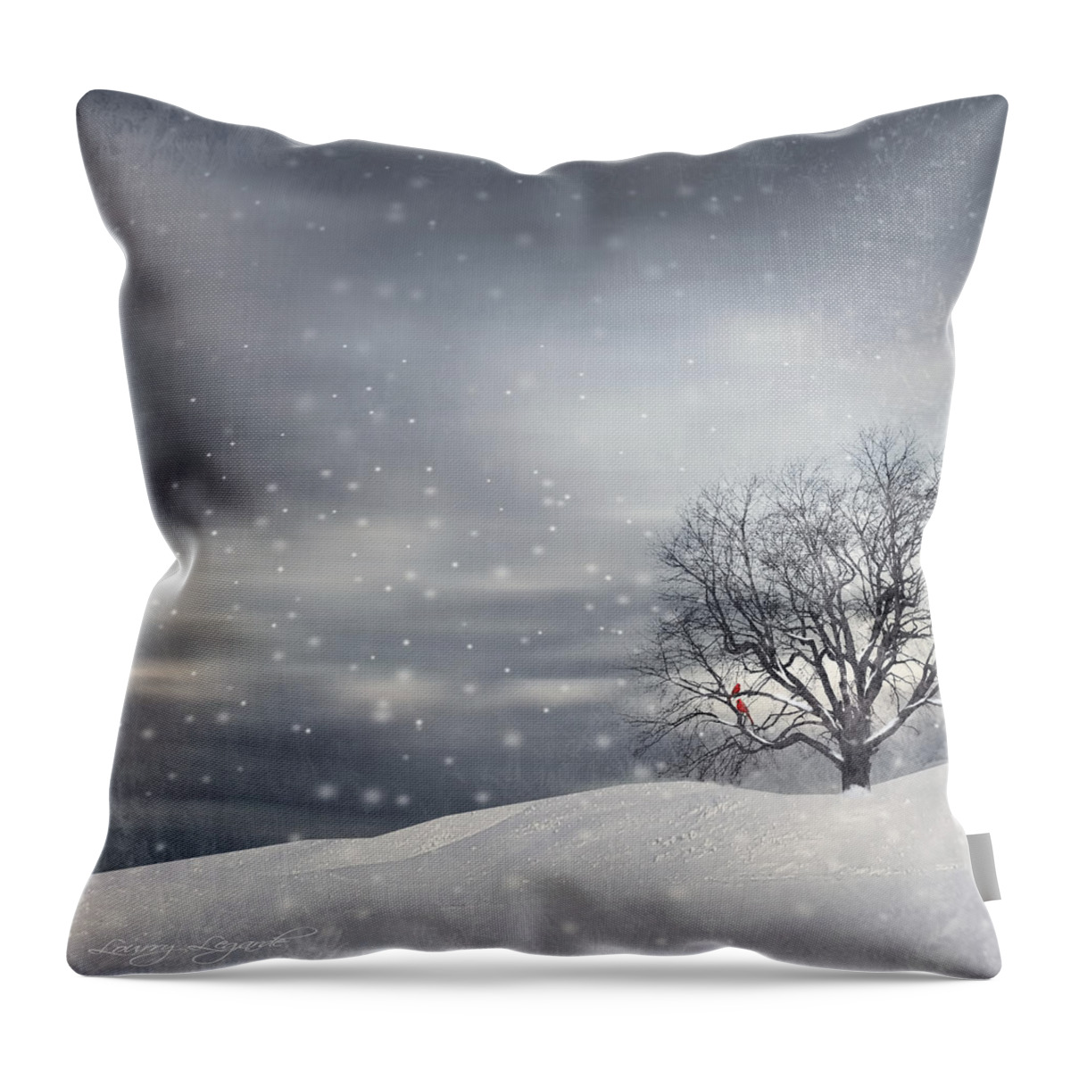 Four Seasons Throw Pillow featuring the photograph Winter by Lourry Legarde
