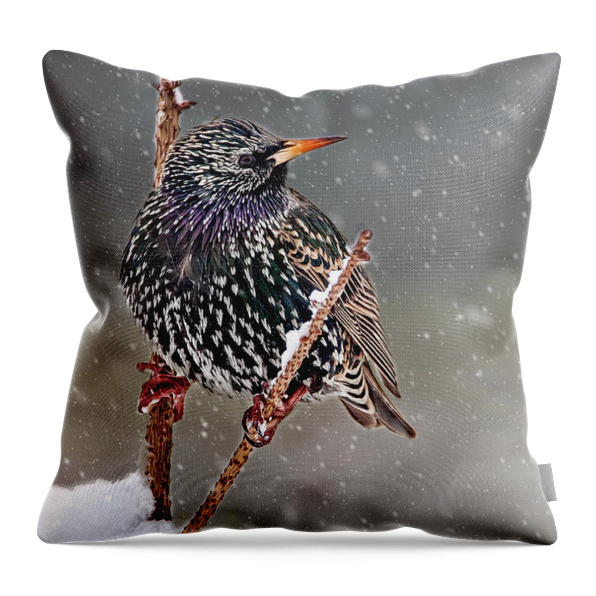 Starling Throw Pillow featuring the photograph Winter Starling 2 by Cathy Kovarik