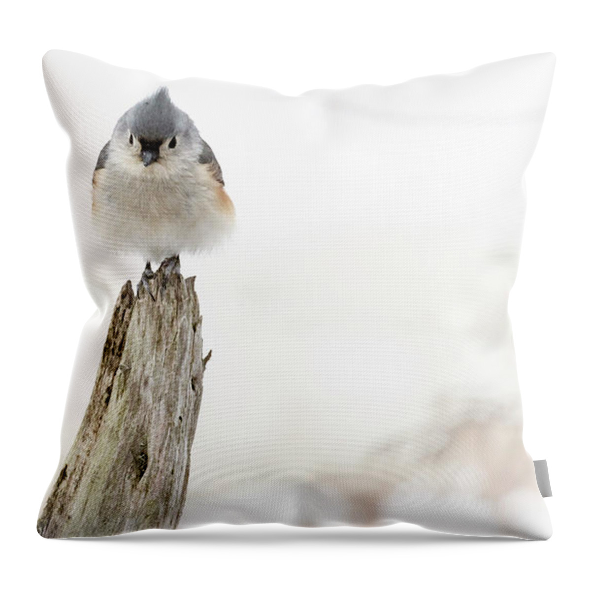 Bird Throw Pillow featuring the photograph Winter Visit by Holly Ross