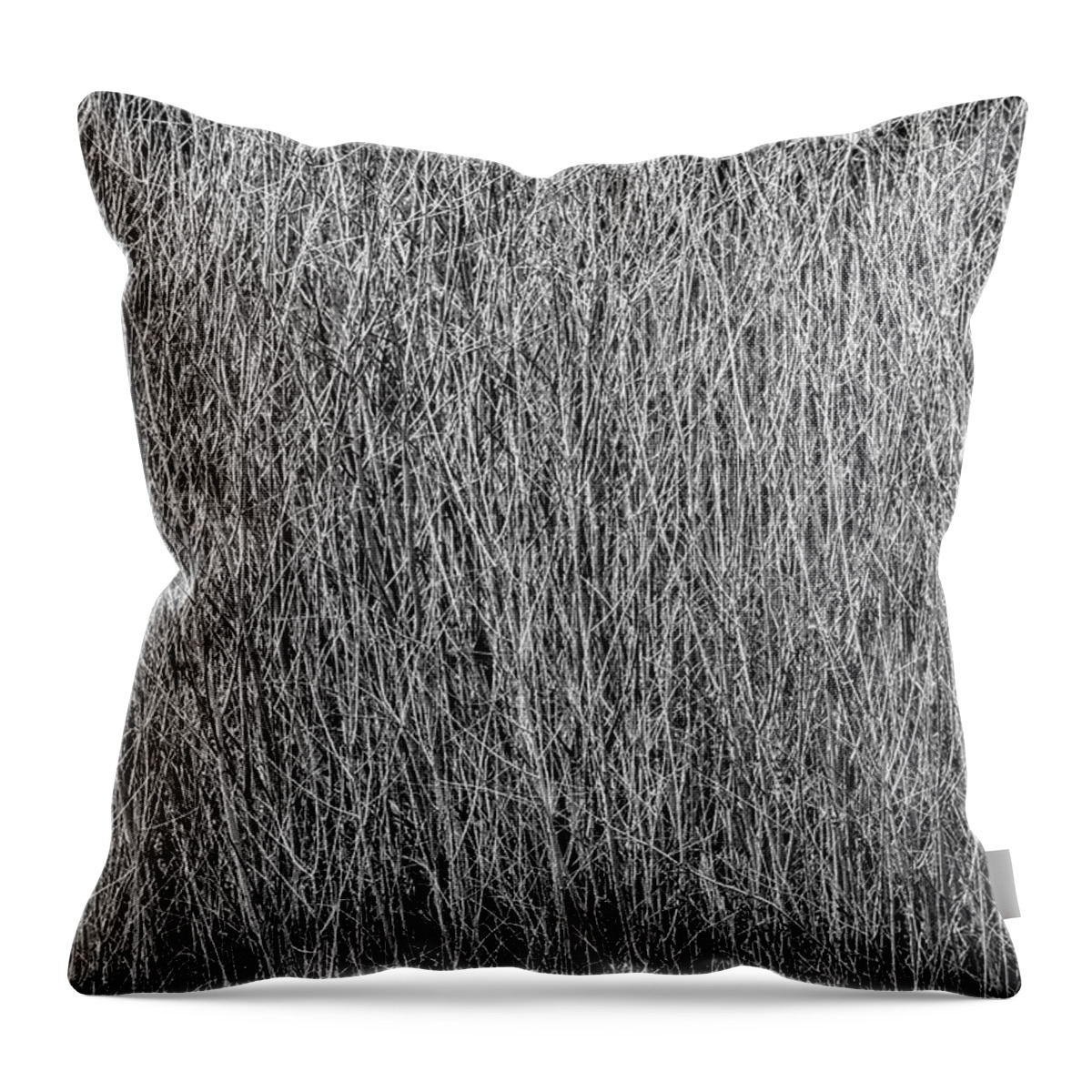 Willows Throw Pillow featuring the photograph Winter Willows by Michael Brungardt