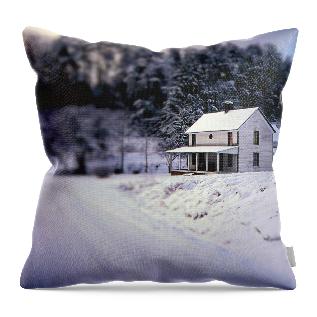 Fine Art Throw Pillow featuring the photograph Winter Wonder by Rodney Lee Williams