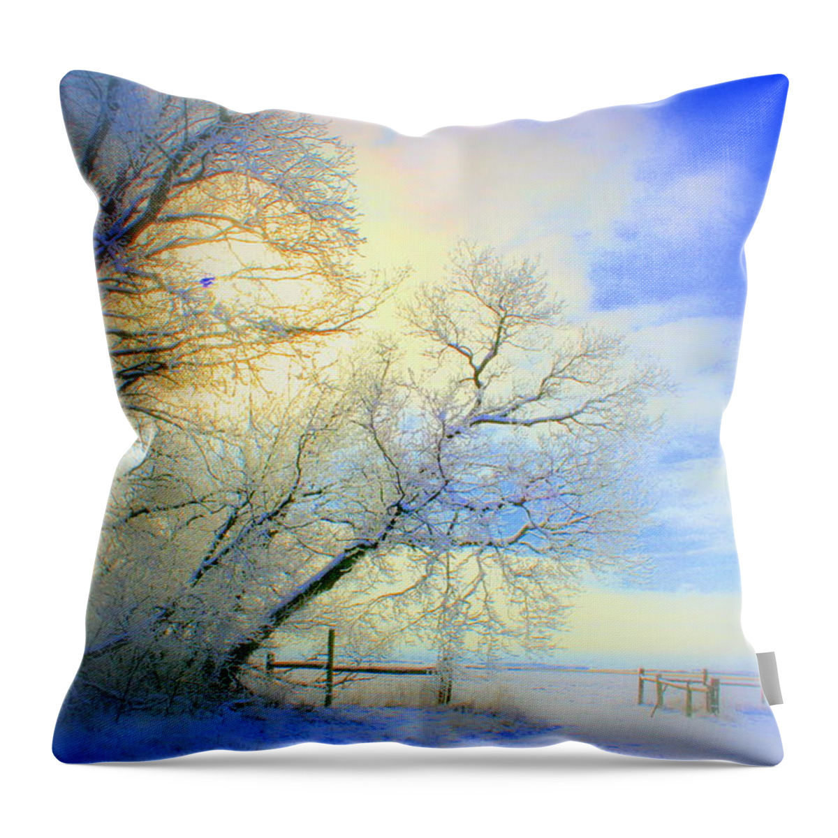 Snowy Sunday Throw Pillow featuring the photograph Winters Pretty Presents by Julie Lueders 