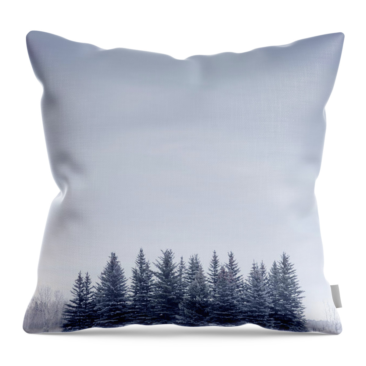 Kremsdorf Throw Pillow featuring the photograph Winterscape by Evelina Kremsdorf